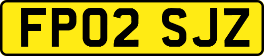 FP02SJZ
