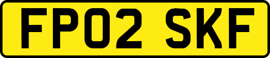 FP02SKF