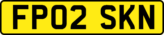 FP02SKN