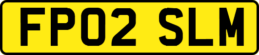 FP02SLM
