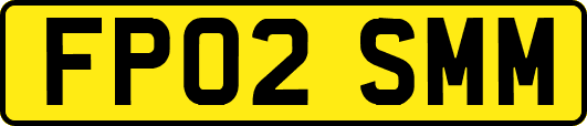 FP02SMM