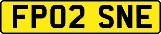FP02SNE