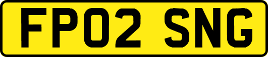 FP02SNG