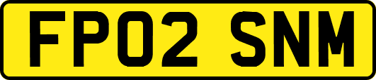 FP02SNM