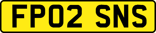 FP02SNS