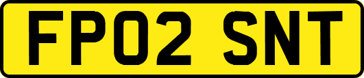 FP02SNT