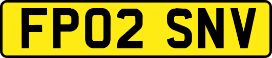 FP02SNV