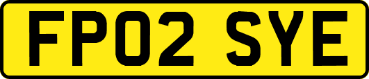 FP02SYE