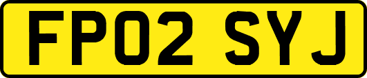 FP02SYJ