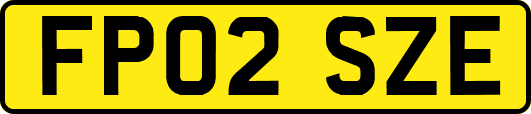 FP02SZE