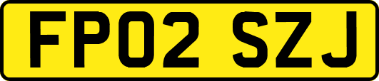 FP02SZJ