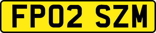 FP02SZM
