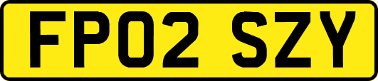 FP02SZY