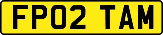 FP02TAM