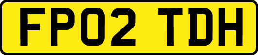 FP02TDH