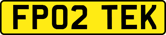FP02TEK