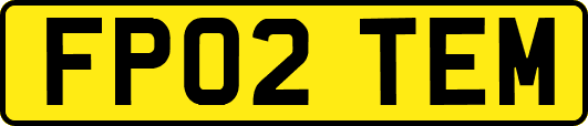 FP02TEM