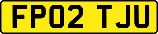 FP02TJU
