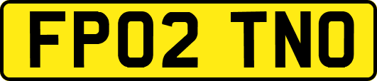 FP02TNO