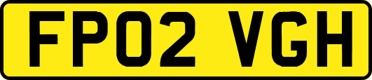 FP02VGH