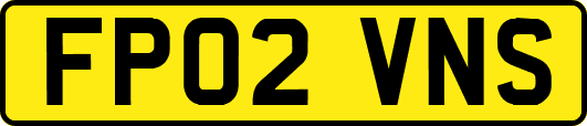 FP02VNS