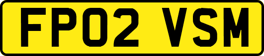 FP02VSM