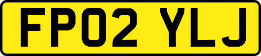 FP02YLJ