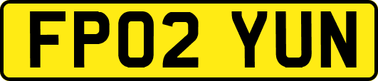 FP02YUN
