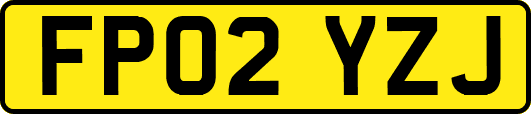 FP02YZJ