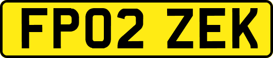 FP02ZEK