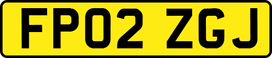 FP02ZGJ