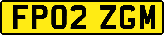 FP02ZGM