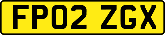 FP02ZGX