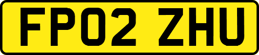 FP02ZHU