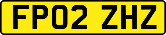 FP02ZHZ