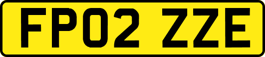 FP02ZZE