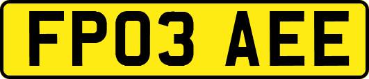 FP03AEE