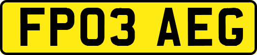 FP03AEG