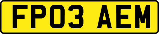 FP03AEM