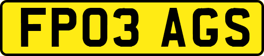 FP03AGS