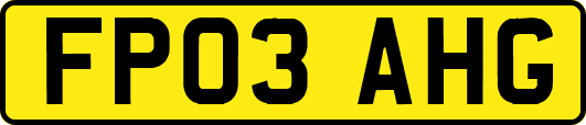 FP03AHG