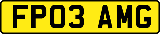 FP03AMG