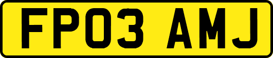 FP03AMJ