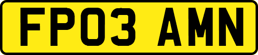 FP03AMN