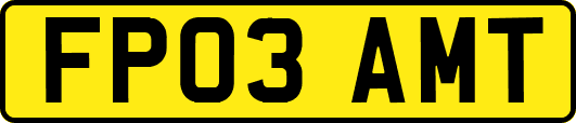 FP03AMT