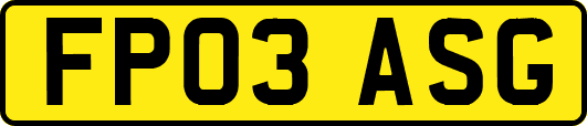 FP03ASG