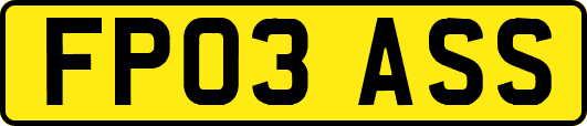 FP03ASS