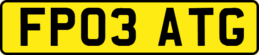 FP03ATG