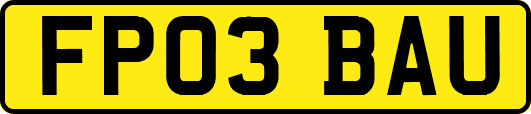 FP03BAU