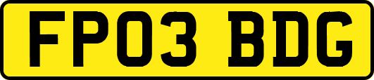 FP03BDG
